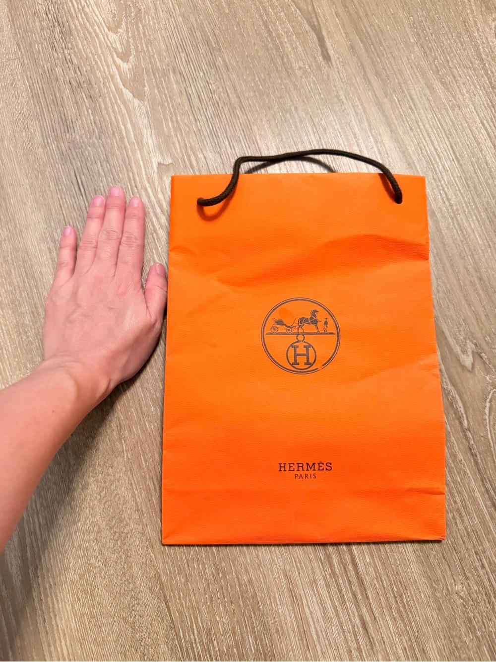 Hermes Orange Gift Bag with Logo